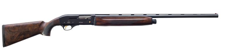 Picture of Altay 220 Gold